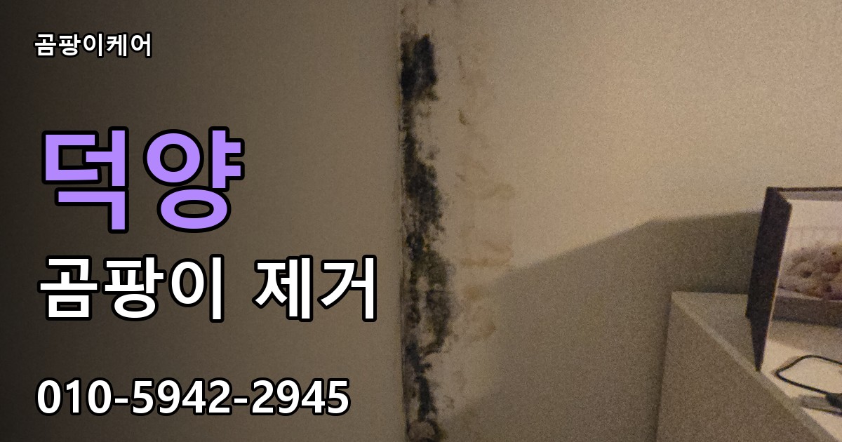 덕양 곰팡이 제거 - 곰팡이케어 실제 시공 현장