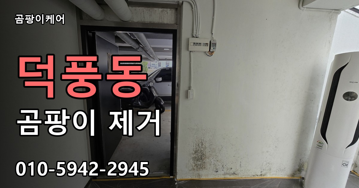 덕풍동 곰팡이 제거 - 곰팡이케어 실제 시공 현장