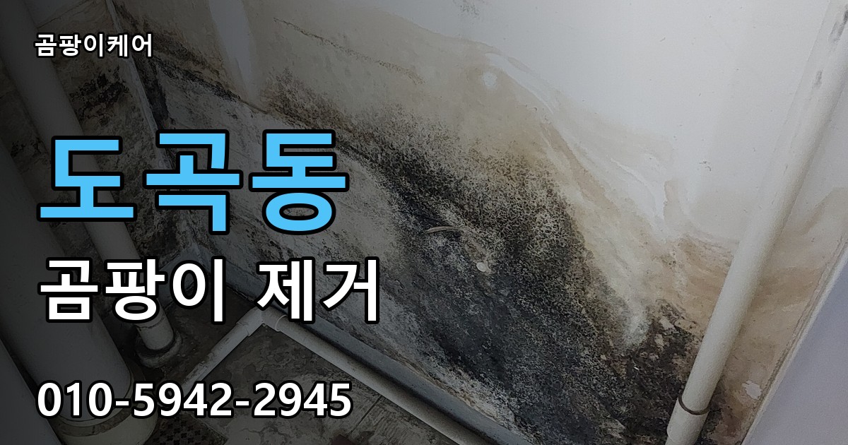 도곡동 곰팡이 제거 - 곰팡이케어 실제 시공 현장