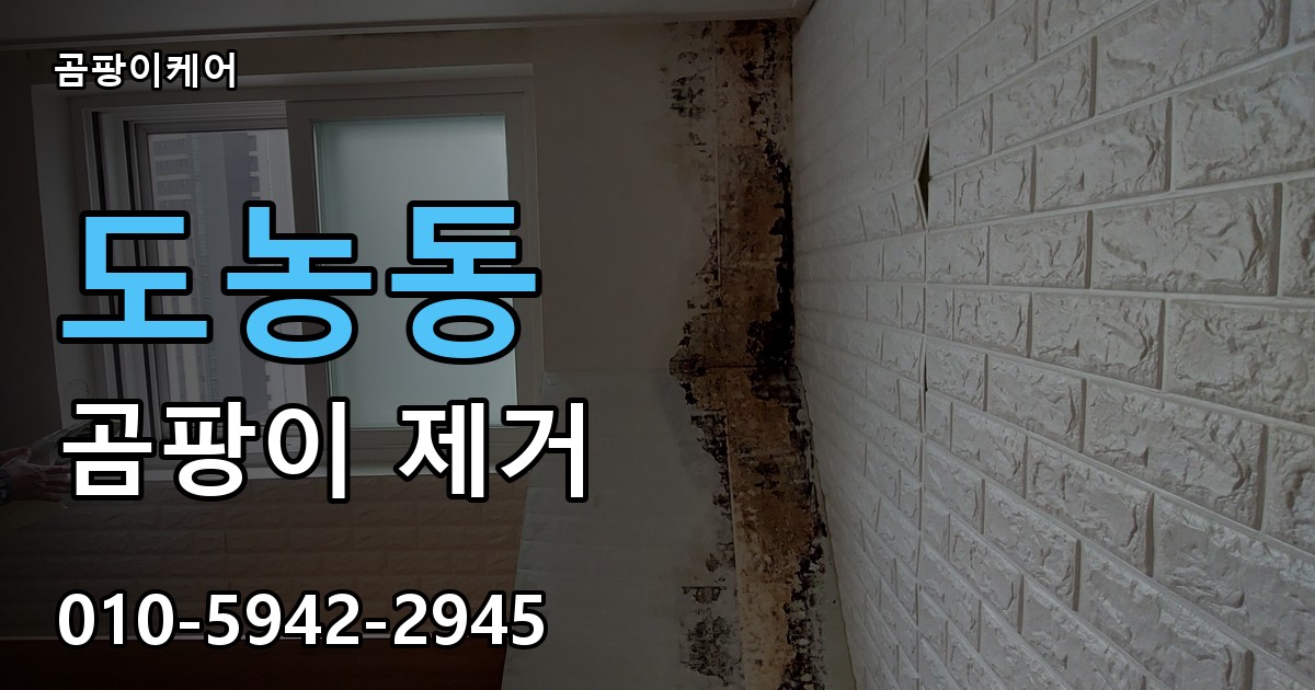 도농동 곰팡이 제거 - 곰팡이케어 실제 시공 현장