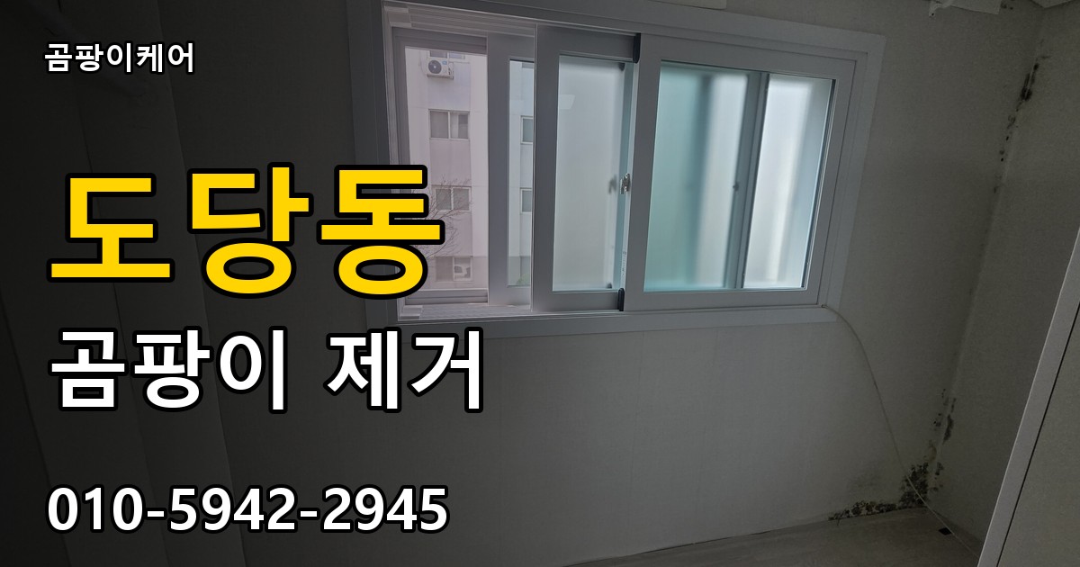 도당동 곰팡이 제거 - 곰팡이케어 실제 시공 현장