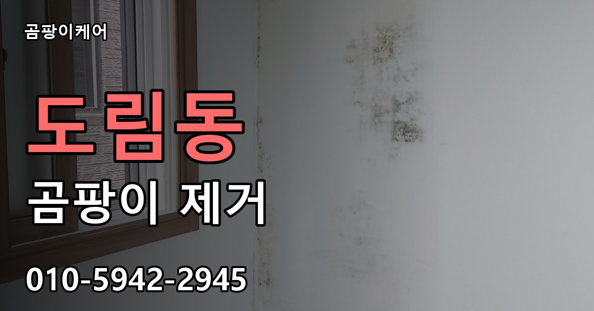 도림동 곰팡이 제거 - 곰팡이케어 실제 시공 현장