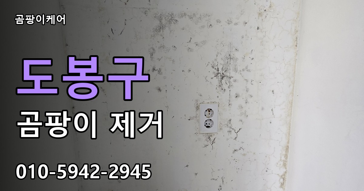 도봉구 곰팡이 제거 - 곰팡이케어 실제 시공 현장