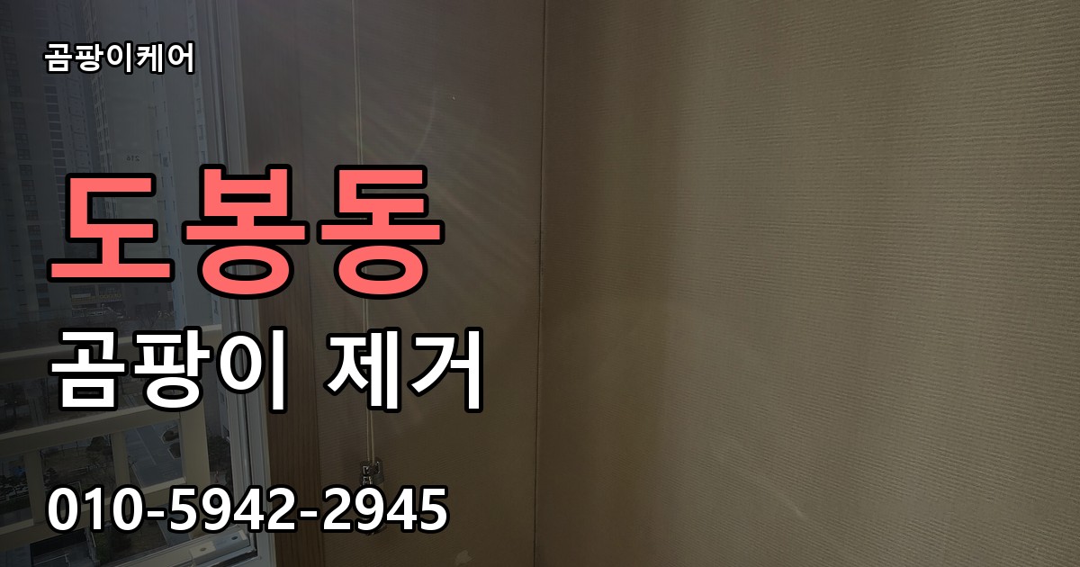 도봉동 곰팡이 제거 - 곰팡이케어 실제 시공 현장