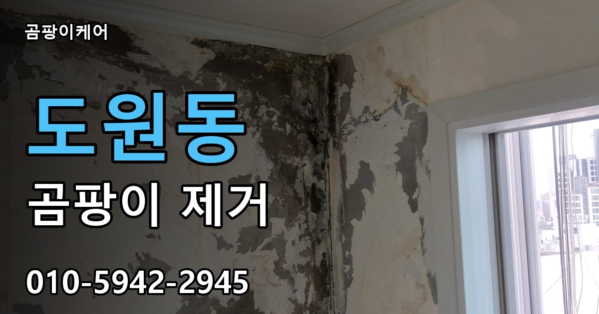 도원동 곰팡이 제거 - 곰팡이케어 실제 시공 현장