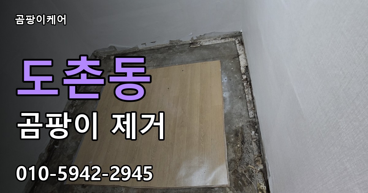 도촌동 곰팡이 제거 - 곰팡이케어 실제 시공 현장