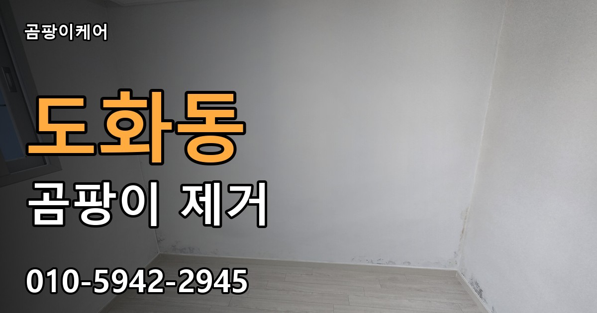 도화동 곰팡이 제거 - 곰팡이케어 실제 시공 현장