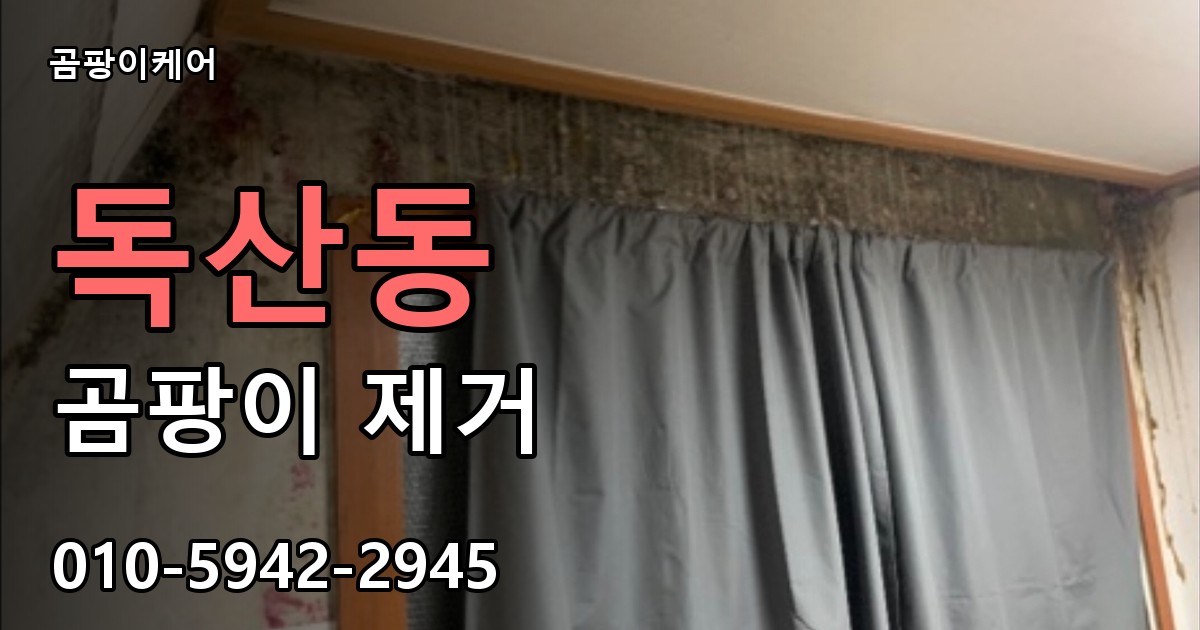 독산동 곰팡이 제거 - 곰팡이케어 실제 시공 현장