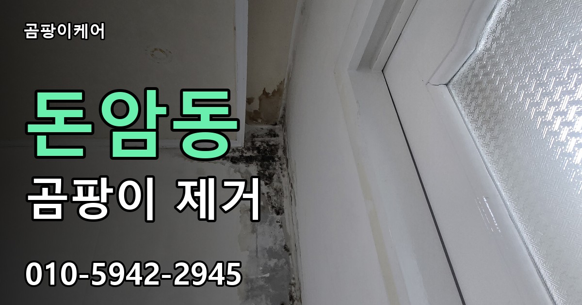 돈암동 곰팡이 제거 - 곰팡이케어 실제 시공 현장
