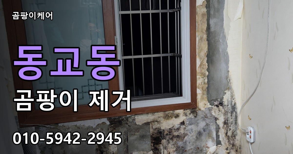 동교동 곰팡이 제거 - 곰팡이케어 실제 시공 현장