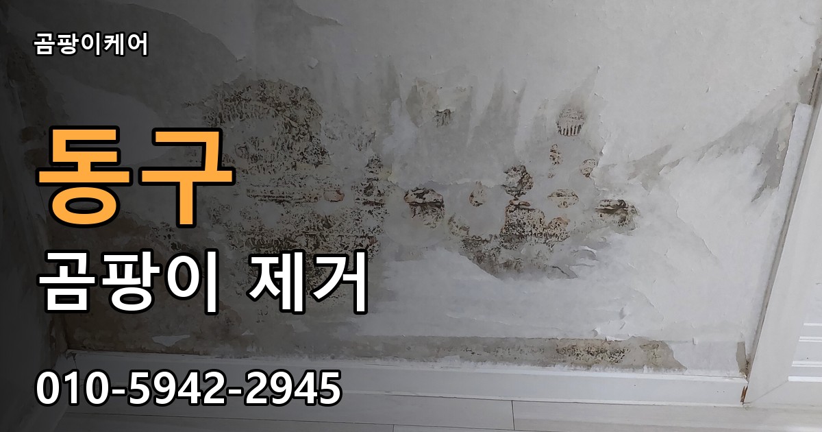 동구 곰팡이 제거 - 곰팡이케어 실제 시공 현장