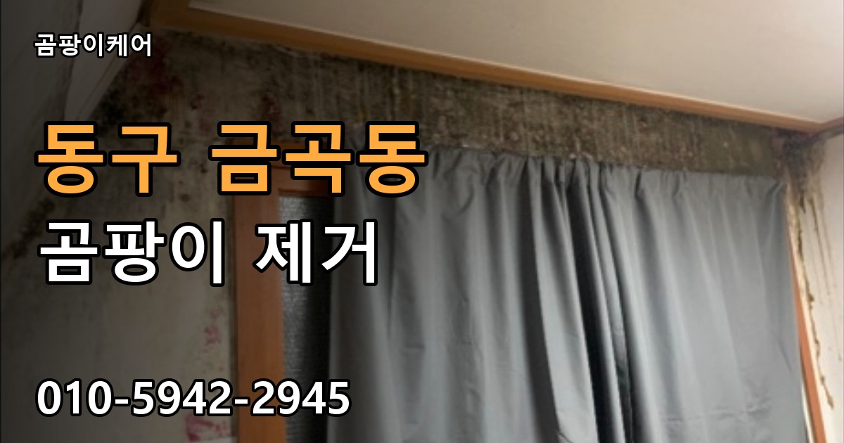 동구 금곡동 곰팡이 제거 - 곰팡이케어 실제 시공 현장