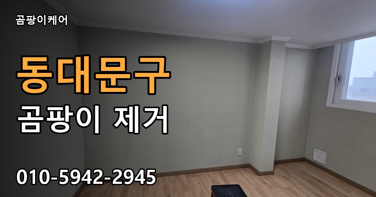동대문구 곰팡이 제거 - 곰팡이케어 실제 시공 현장