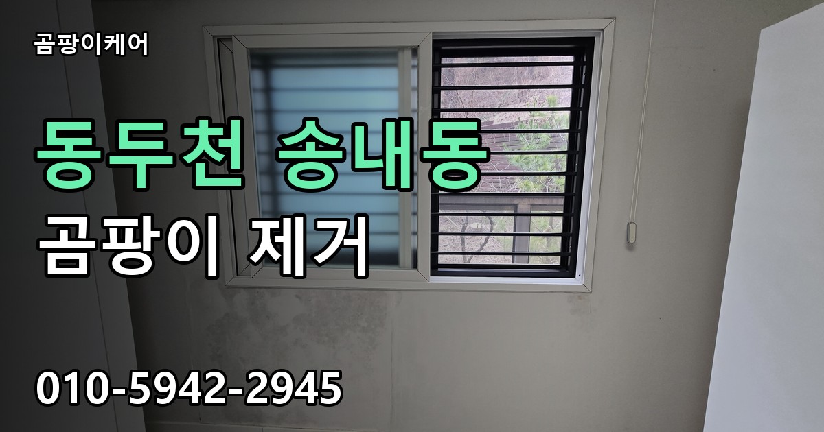 동두천 송내동 곰팡이 제거 - 곰팡이케어 실제 시공 현장