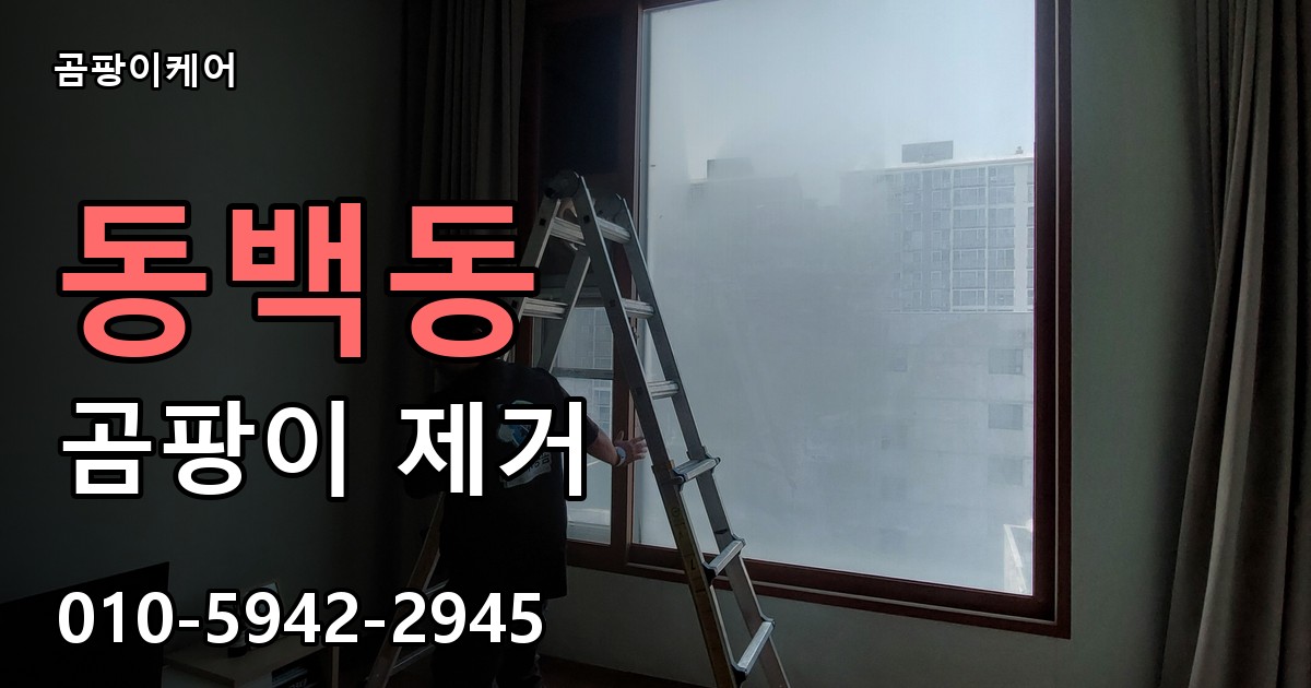동백동 곰팡이 제거 - 곰팡이케어 실제 시공 현장