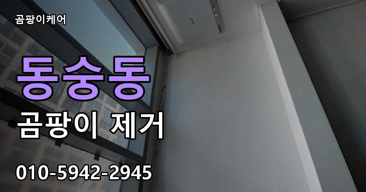 동숭동 곰팡이 제거 - 곰팡이케어 실제 시공 현장