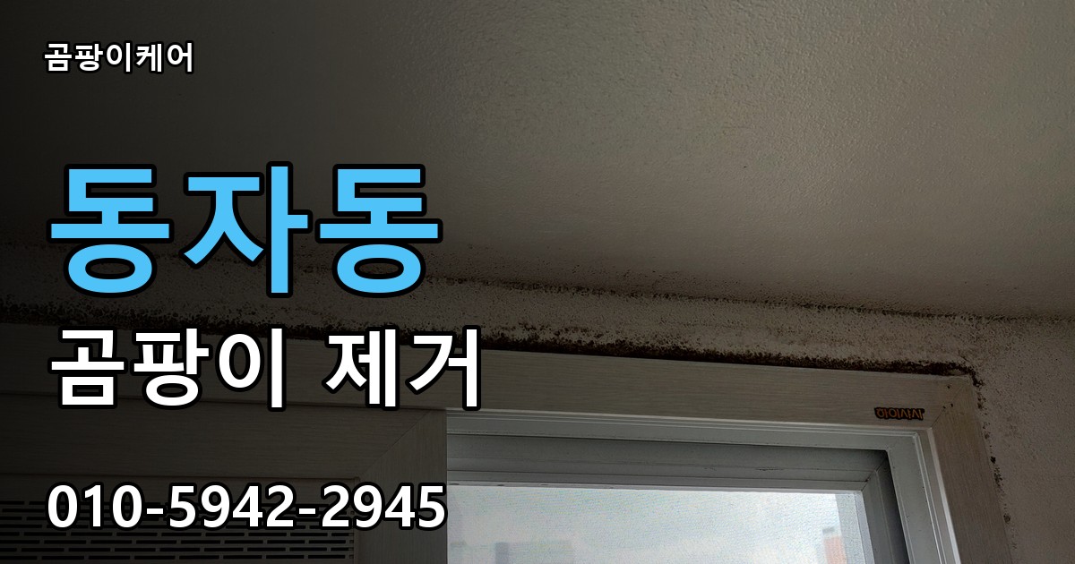 동자동 곰팡이 제거 - 곰팡이케어 실제 시공 현장