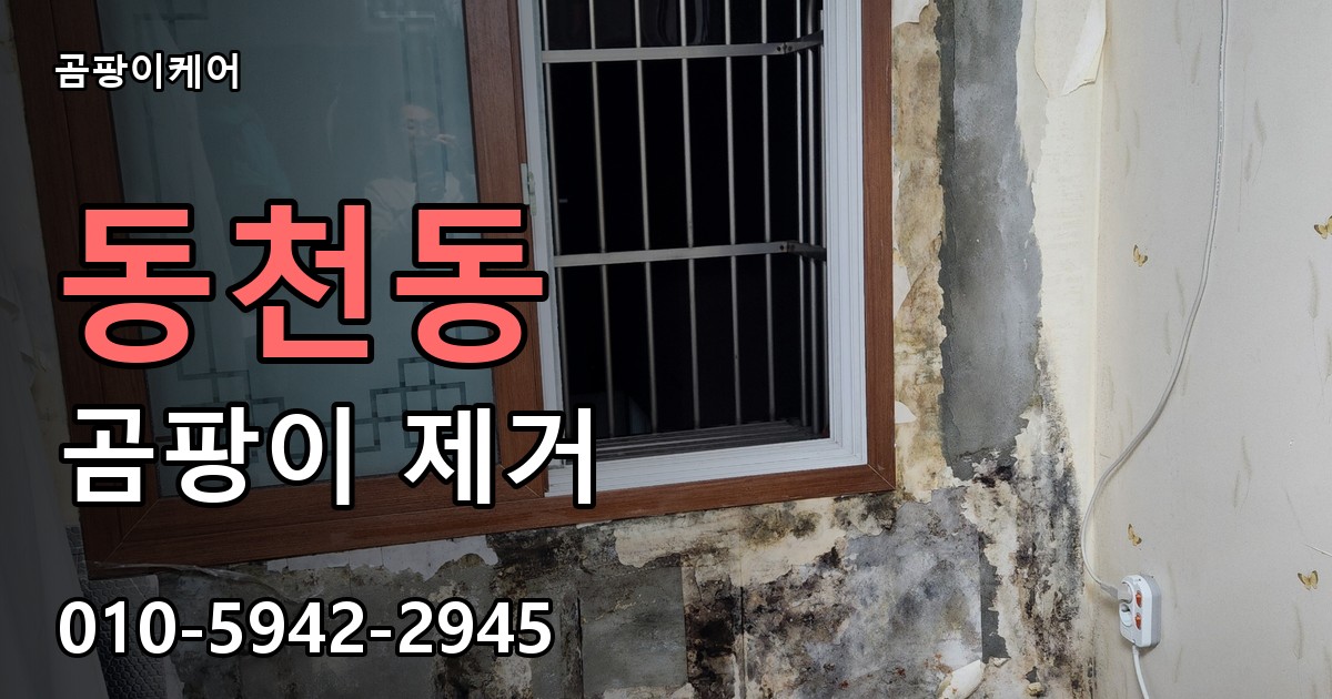 동천동 곰팡이 제거 - 곰팡이케어 실제 시공 현장