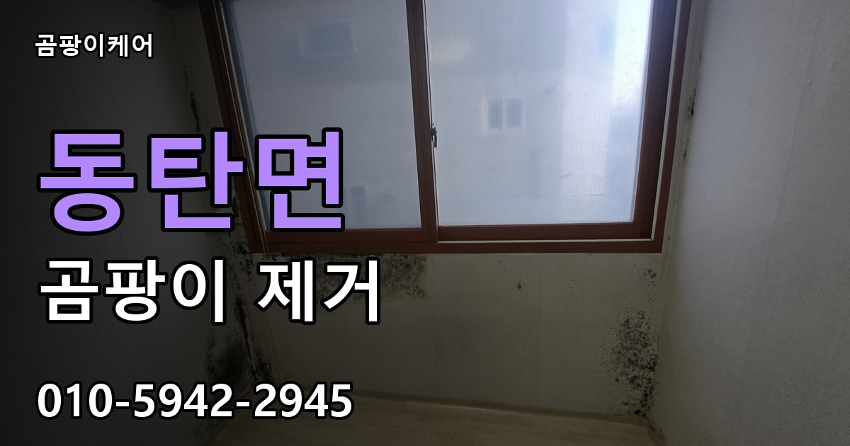 동탄면 곰팡이 제거 - 곰팡이케어 실제 시공 현장