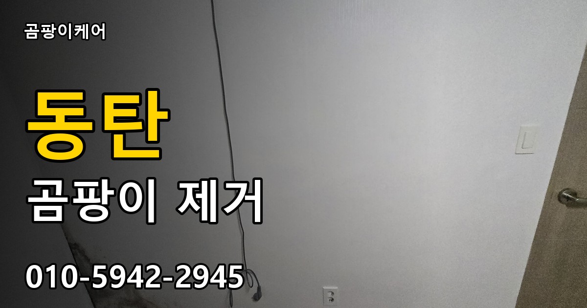 동탄 곰팡이 제거 - 곰팡이케어 실제 시공 현장