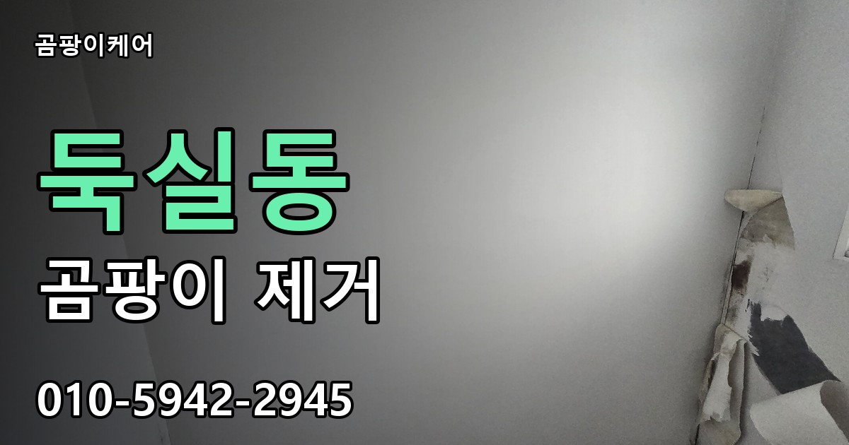 둑실동 곰팡이 제거 - 곰팡이케어 실제 시공 현장