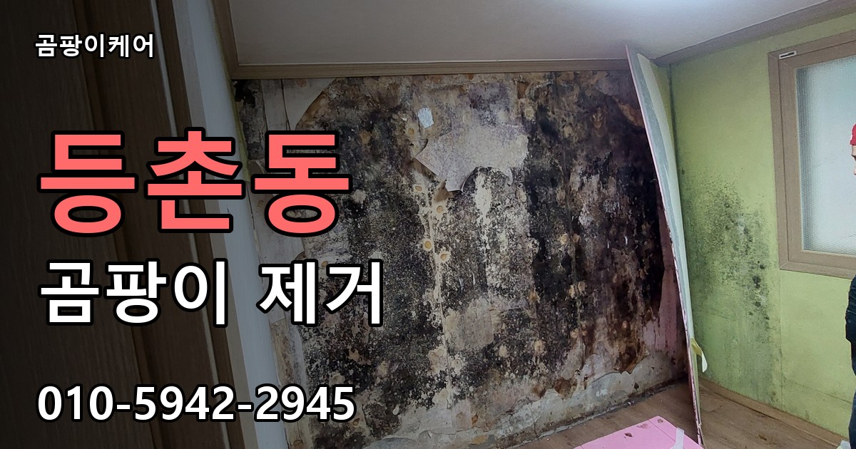 등촌동 곰팡이 제거 - 곰팡이케어 실제 시공 현장