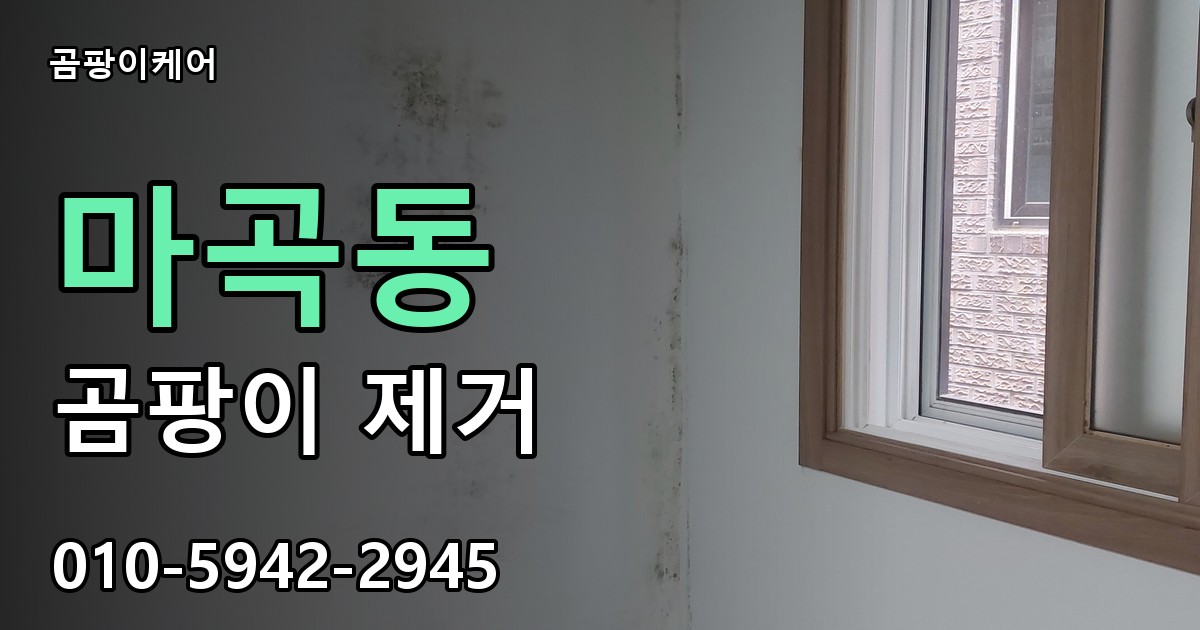 마곡동 곰팡이 제거 - 곰팡이케어 실제 시공 현장
