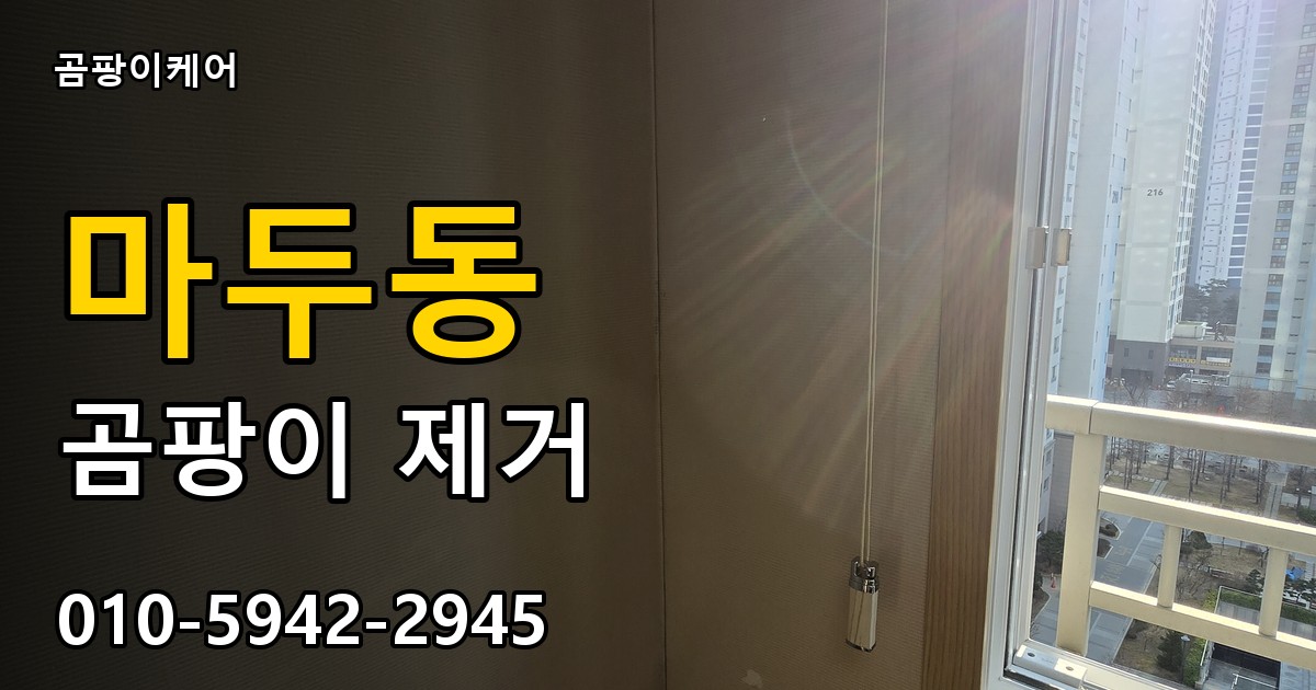 마두동 곰팡이 제거 - 곰팡이케어 실제 시공 현장