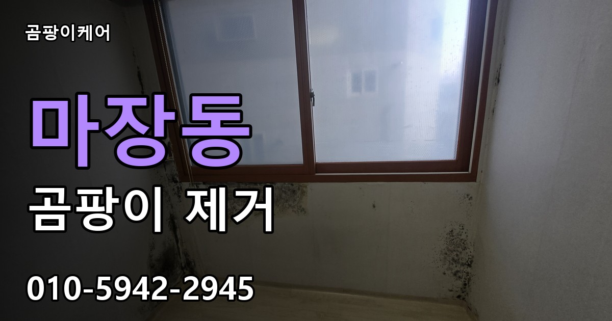 마장동 곰팡이 제거 - 곰팡이케어 실제 시공 현장