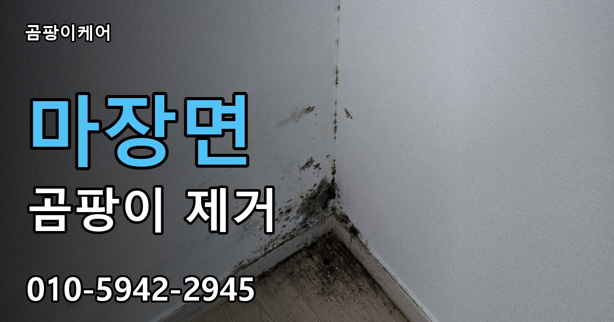 마장면 곰팡이 제거 - 곰팡이케어 실제 시공 현장