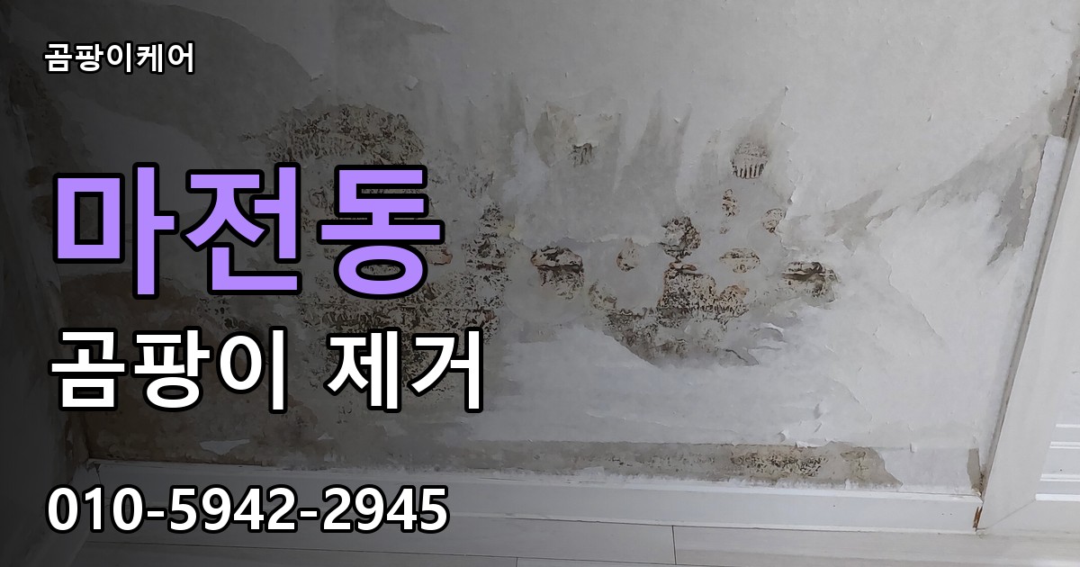 마전동 곰팡이 제거 - 곰팡이케어 실제 시공 현장