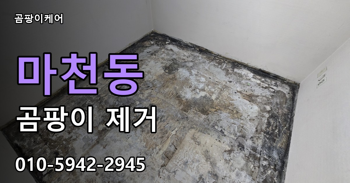 마천동 곰팡이 제거 - 곰팡이케어 실제 시공 현장