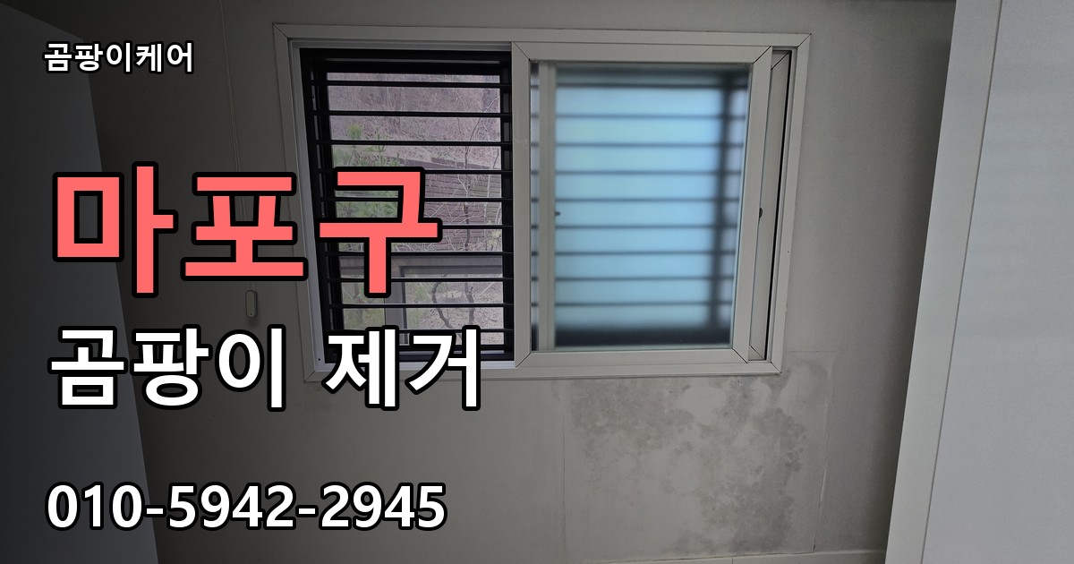 마포구 곰팡이 제거 - 곰팡이케어 실제 시공 현장