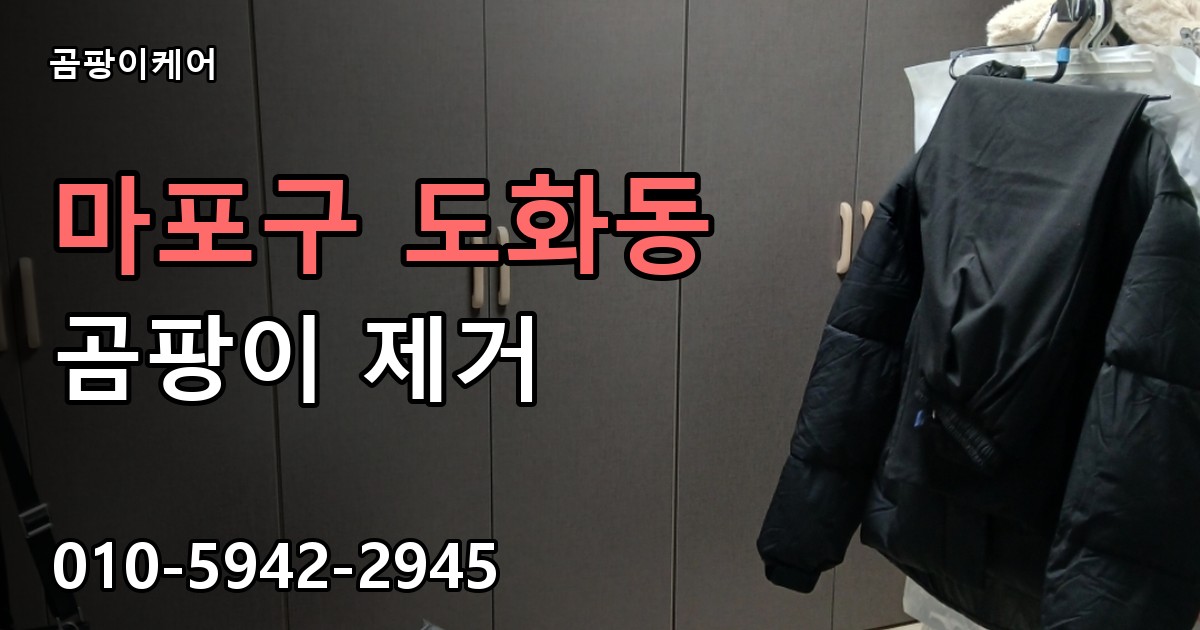 마포구 도화동 곰팡이 제거 - 곰팡이케어 실제 시공 현장