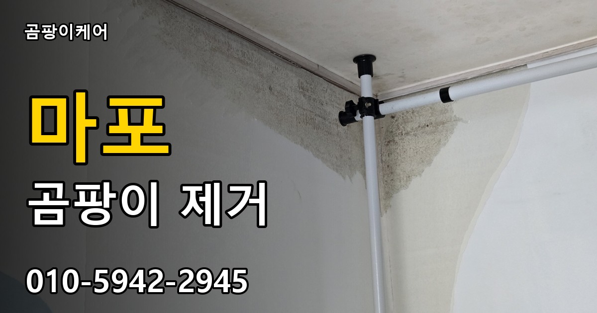 마포 곰팡이 제거 - 곰팡이케어 실제 시공 현장