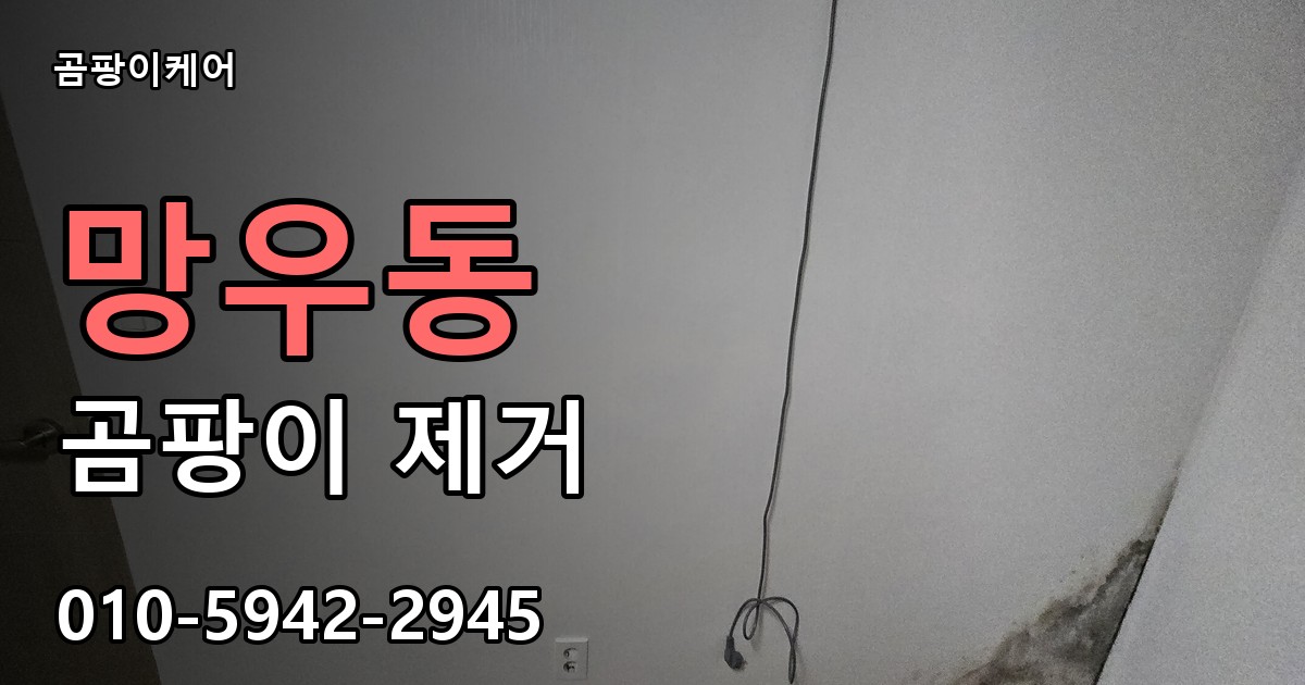 망우동 곰팡이 제거 - 곰팡이케어 실제 시공 현장