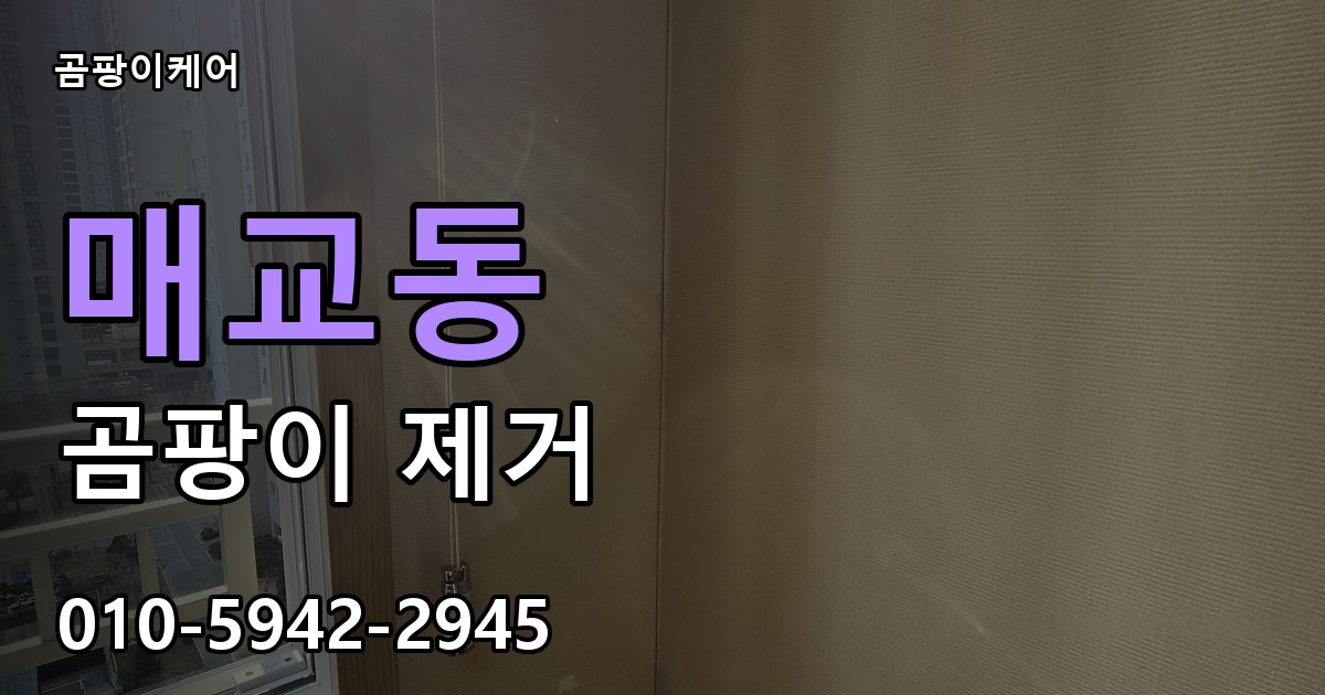매교동 곰팡이 제거 - 곰팡이케어 실제 시공 현장
