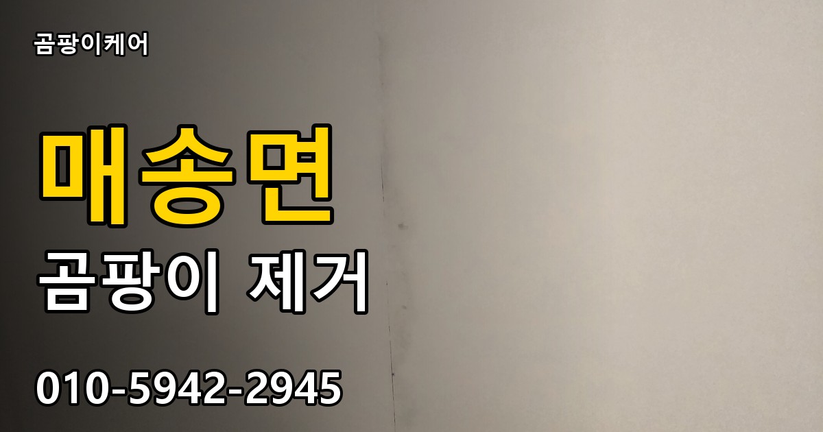 매송면 곰팡이 제거 - 곰팡이케어 실제 시공 현장
