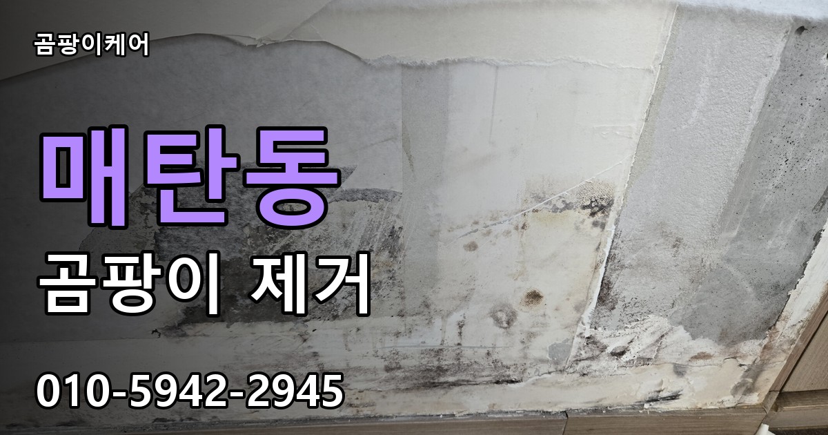 매탄동 곰팡이 제거 - 곰팡이케어 실제 시공 현장
