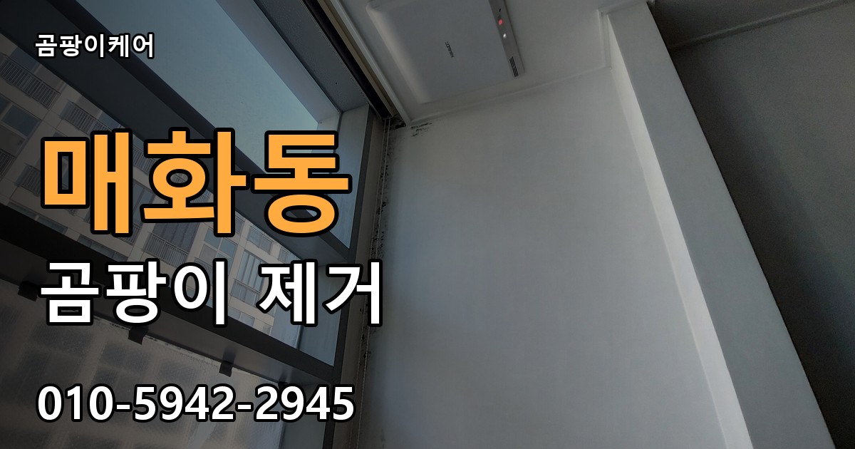 매화동 곰팡이 제거 - 곰팡이케어 실제 시공 현장