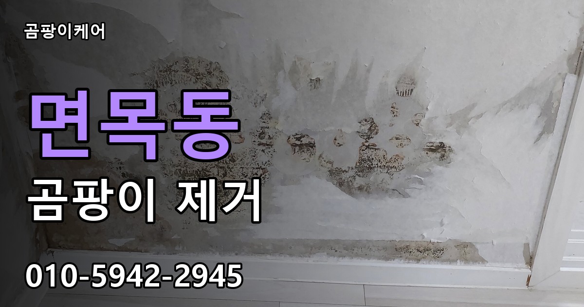 면목동 곰팡이 제거 - 곰팡이케어 실제 시공 현장