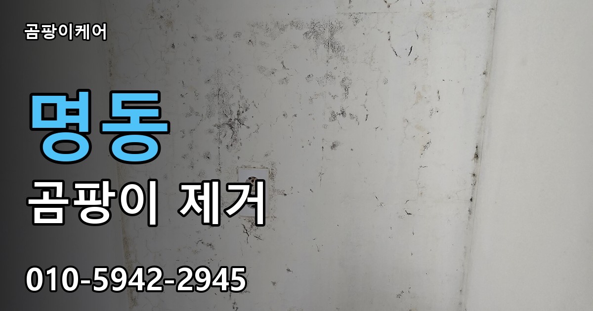 명동 곰팡이 제거 - 곰팡이케어 실제 시공 현장