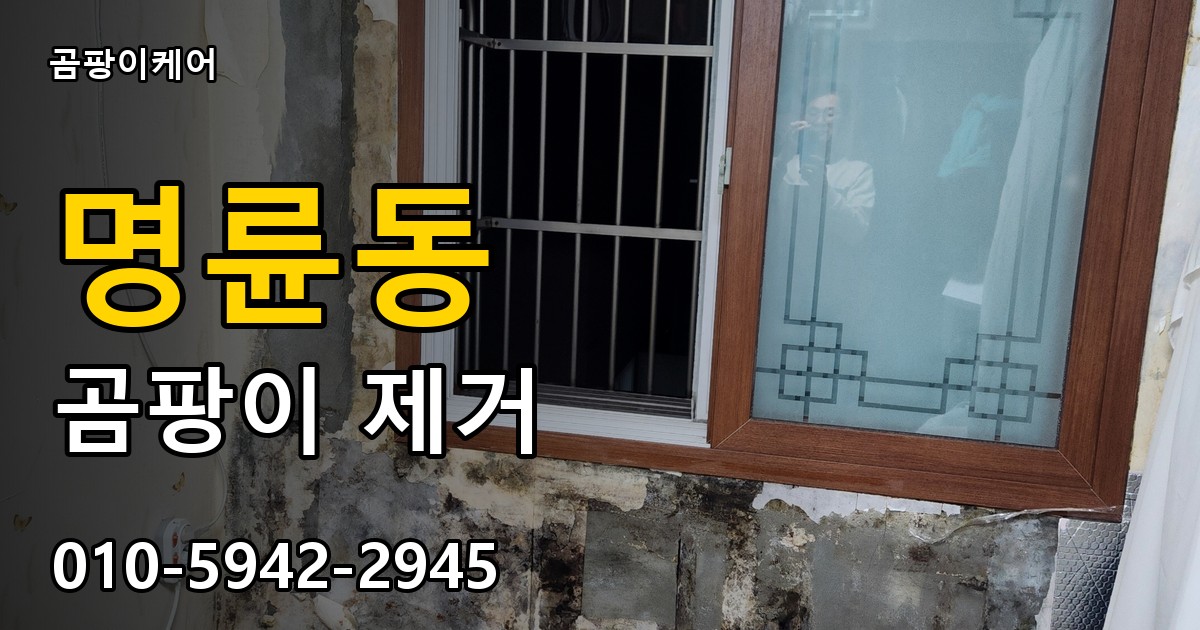 명륜동 곰팡이 제거 - 곰팡이케어 실제 시공 현장