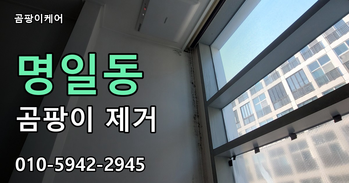 명일동 곰팡이 제거 - 곰팡이케어 실제 시공 현장