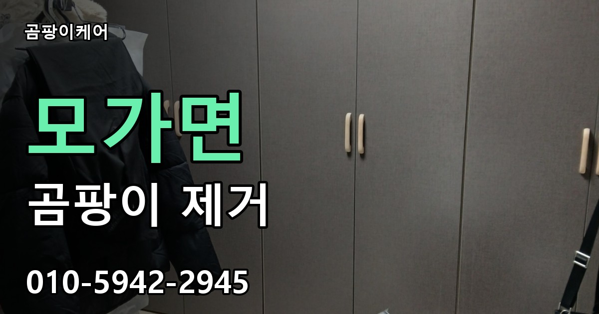 모가면 곰팡이 제거 - 곰팡이케어 실제 시공 현장