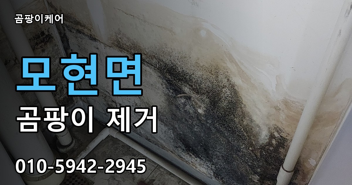 모현면 곰팡이 제거 - 곰팡이케어 실제 시공 현장