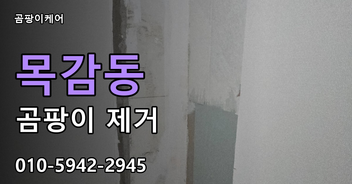 목감동 곰팡이 제거 - 곰팡이케어 실제 시공 현장