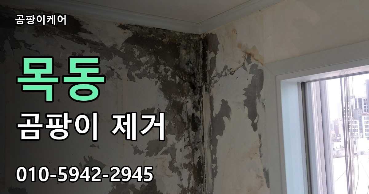 목동 곰팡이 제거 - 곰팡이케어 실제 시공 현장