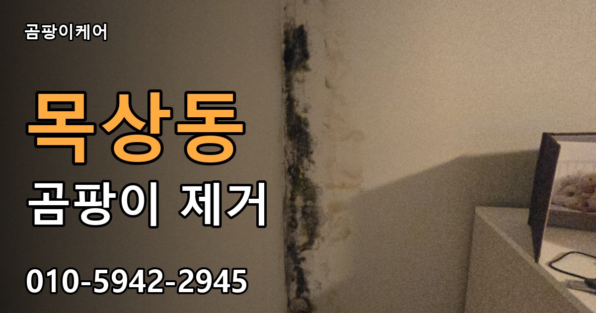 목상동 곰팡이 제거 - 곰팡이케어 실제 시공 현장