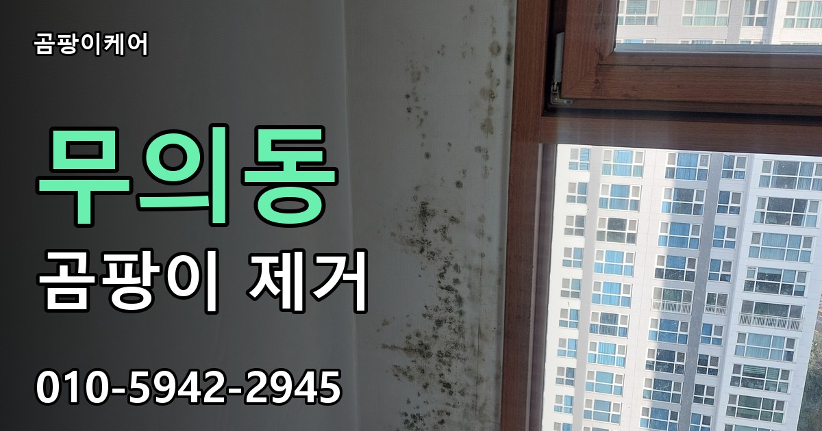 무의동 곰팡이 제거 - 곰팡이케어 실제 시공 현장